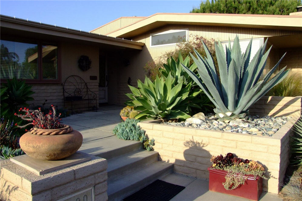 Large Planter Greeting