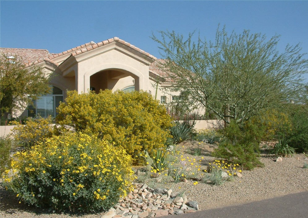 Yellow Mounds in the Garden